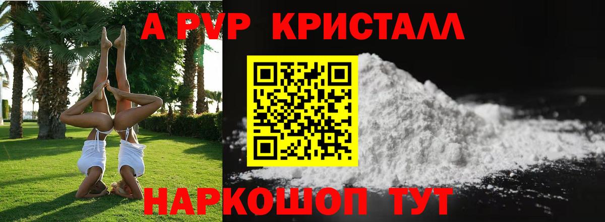 Альфа ПВП СК КРИС Хасавюрт