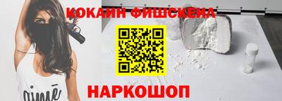 индика Можга