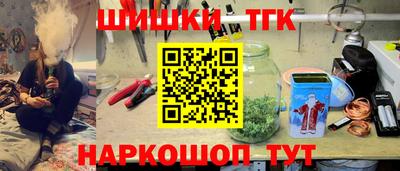 индика Можга