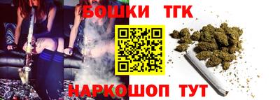 индика Можга