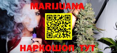 индика Можга