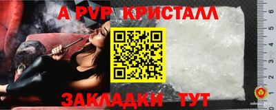 индика Можга