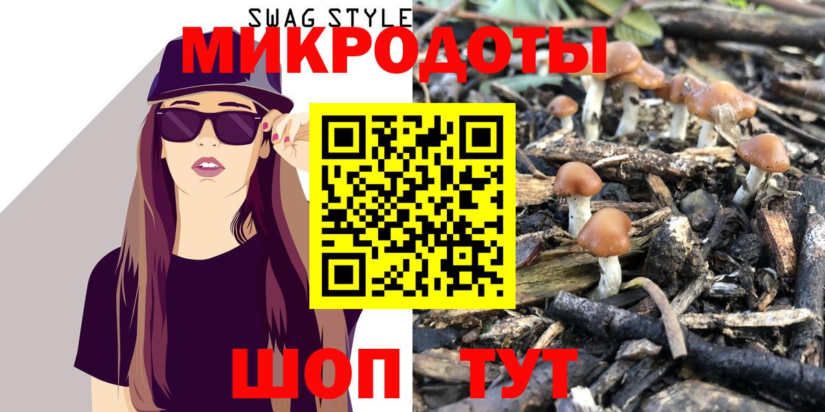Хасавюрт  Псилоцибиновые грибы ЛСД  Галлюциногенные грибы Magic Shrooms  Вход с VPN 