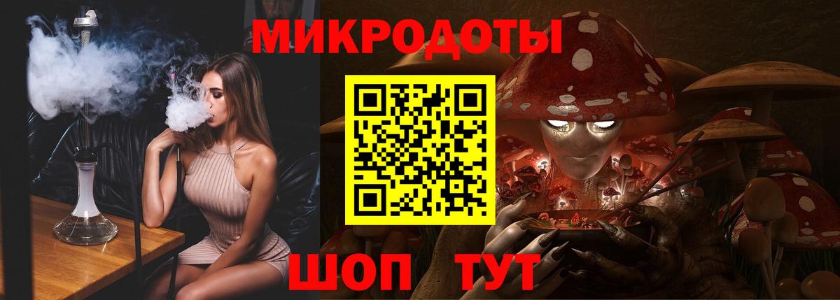 Галлюциногенные грибы Psilocybine cubensis Хасавюрт